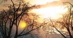 Stages Of Loss And Grief